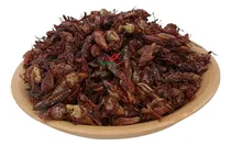 Comprar 250 G  Chapulines Oaxaca Sal Y Limon  Oaxaqueños Grandes