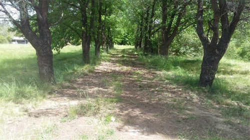 Imagen 3 de 4 de Fracción En Venta En Fátima Pilar