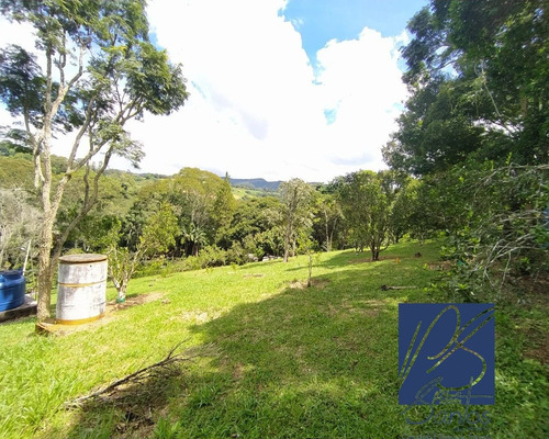 Imagem 22 de 30 de Sitio - St00015 - 69272278