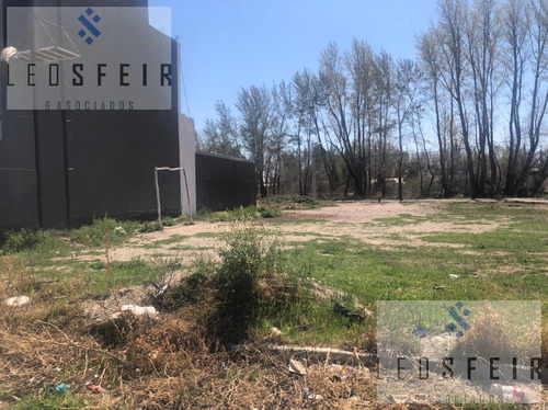 Imagen 1 de 2 de Terreno - Neuquen