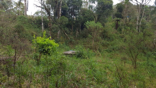Chácara A Venda No Bairro Miringuava Em São José Dos - 5663-1