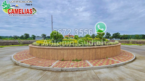 Lotes 8x16 Mts En Residenciales Camelias Fase 4