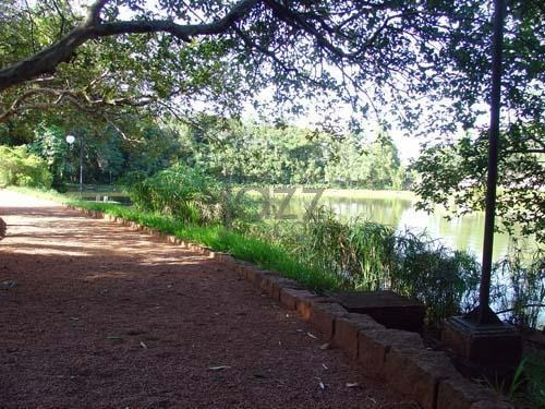 Imagem 24 de 30 de Terreno À Venda, 871 M² Por R$ 750.000,00 - Barão Geraldo - Campinas/sp - Te1018