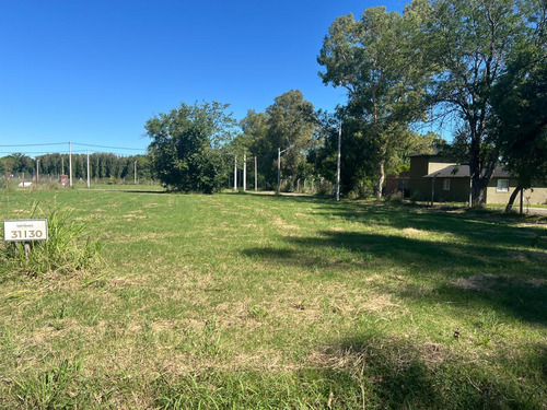 Lote En Barrio Benteveo