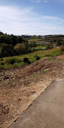 Imagem 6 de 7 de Lotes A Venda No Igarapés