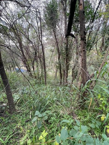 Imagen 7 de 7 de Terreno - Valle Del Sol