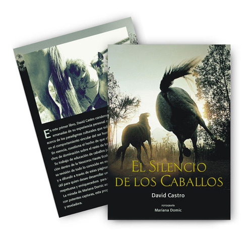 Imagen 1 de 2 de Libro: El Silencio De Los Caballos Por David Castro