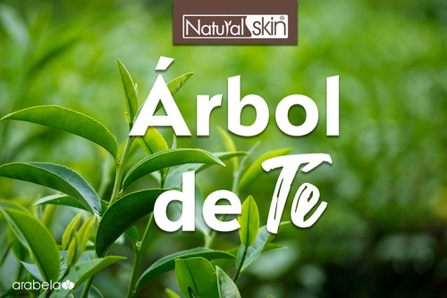 Jabon Facial Arbol De Te 2pz De 50gr Unisex Natural Arabela