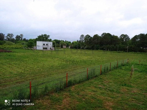 Imagen 13 de 22 de 148 Y 486. Lote En Venta En Fincas Gorina.-