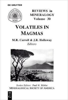 Volatiles In Magmas - Michael R. Carroll