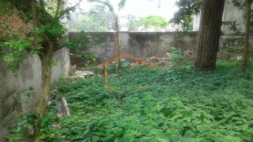 Imagem 6 de 7 de Terreno Com Casa(s) Antiga(s), Venda, Vila Irmaos Arnoni, Sao Paulo - 13017 - V-13017