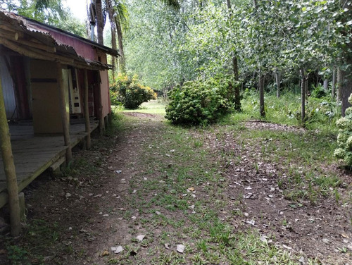 Imagen 11 de 30 de Quinta - Paraná Miní