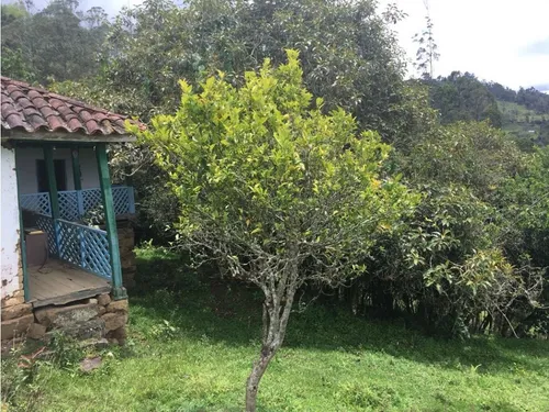 Vendo O Permuto Finca En Junin Cundinamarca