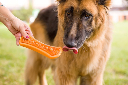 Imagen 5 de 8 de Hartz Chew 'n Clean Bacon Juguete Masticable Para Perro Con