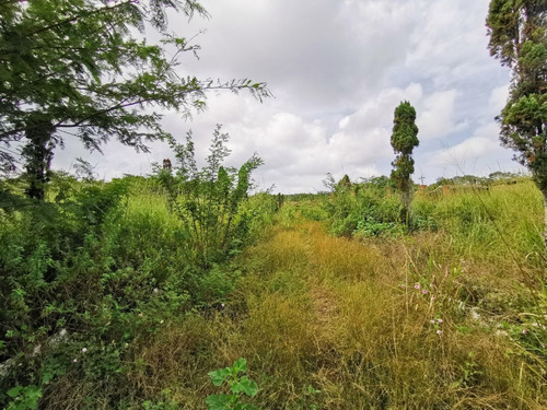 Imagen 9 de 21 de En Venta Terreno Cerca De La Ciudad, En Fraccionamiento Priv