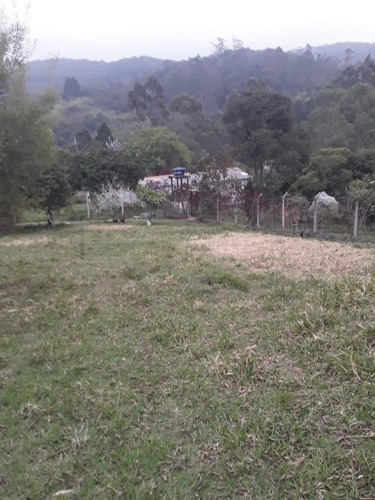 Imagem 21 de 24 de Chácara - Chácaras Monte Verde - São Roque Sp - Ch141052v