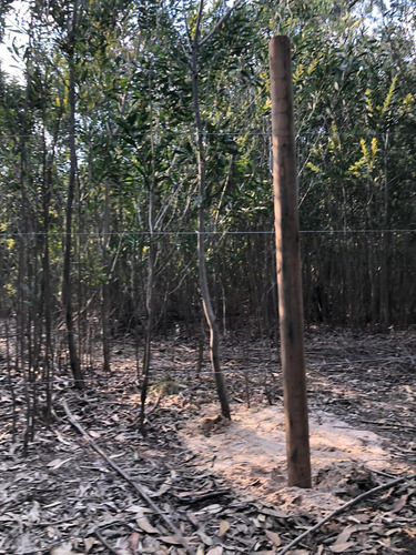 Terreno En Balneario Argentino