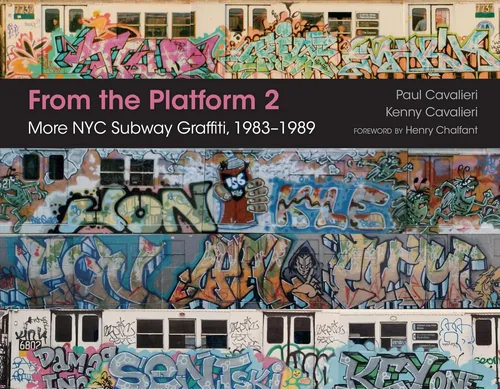 comprar Libro: Desde La Plataforma 2: Más Grafitis En El Metro De Nu