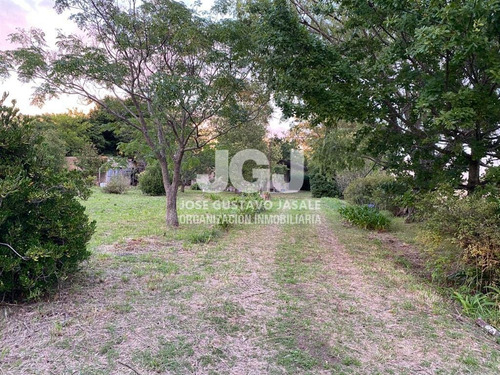 Imagen 9 de 14 de 2.1 Has - Atalaya, Buenos Aires