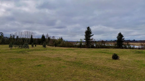 Parcela De 5.000 M2 Vista Río Cruces, San José Mariquina