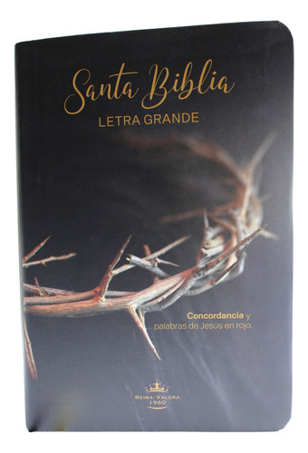 Santa Biblia Letra Grande - Tapa Jóvenes