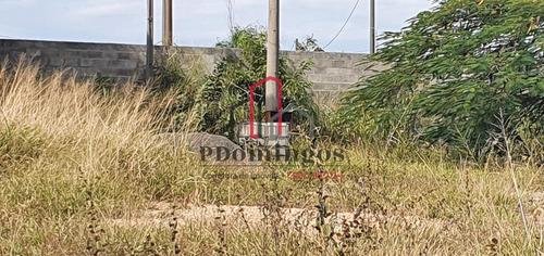 Imagem 22 de 30 de Terreno Á Venda E Para Aluguel Em Cascata - Te000930
