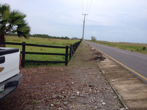 Imagen 6 de 12 de Terreno En Venta La Piedra