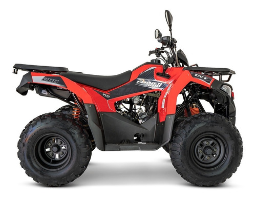 Imagem 5 de 7 de Quadriciclo Brutus 200cc Utilitário Painel Digital