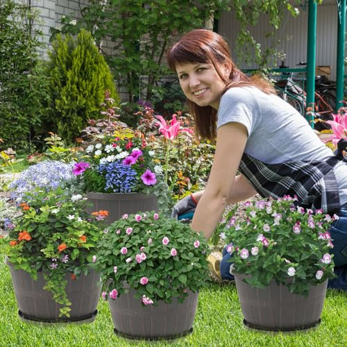 Maceta De Plástico Quarut De 10 Pulgadas Para Plantas De Int