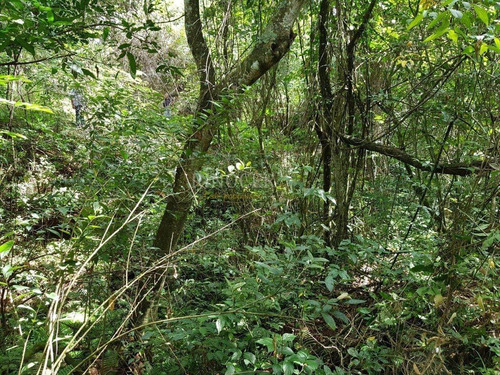 Imagem 2 de 14 de Chácara Em Claraval - Mg - Ch0013_rncr