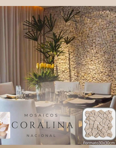 Coralina Irregular Para Hacer Venecianos
