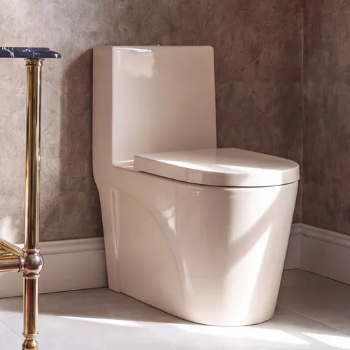 Vaso Sanitário Monobloco Privada Bacia Caixa Acoplada Grande