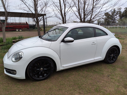 Imagen 1 de 4 de New Beetle