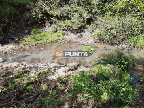 Imagen 9 de 22 de Linda Chacra De 5 Has En Las Cañas