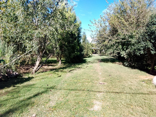 Alquiler Permanente Casa Quinta Cañuelas