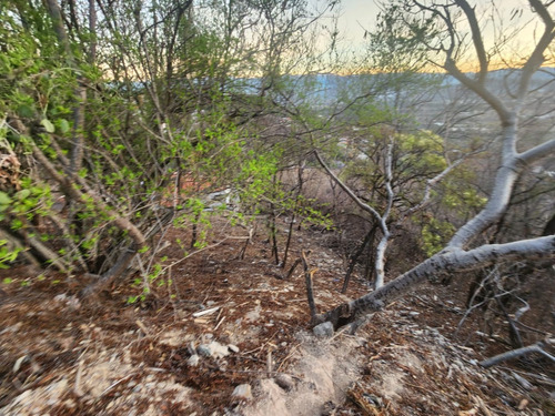 Venta Lote Jazmín De Vistas Espectaculares Con Todos Los Servicios Y Proyecto Incluído Dentro De Fracc Rancho San Diego Ixtapan De La Sal Edomex