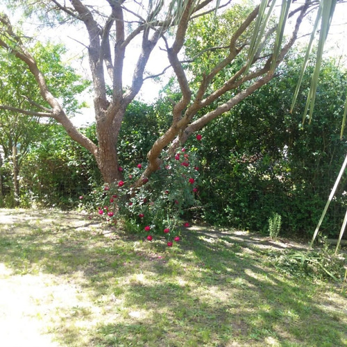 Imagen 13 de 17 de Venta De 2 Casas En Balneario San Luis, Costa De Oro, Canelones, Con Muebles Y Electrodomésticos, Parrilleros, Jardín Y Arboles, Contribución Al Día Y Posible Permuta