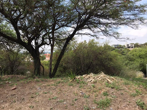 Imagen 12 de 12 de Terreno En Venta Cinco Lomas