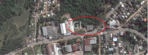 Terreno Em Bela Vista - El50874348