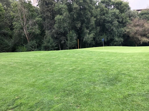 Imagen 9 de 22 de Se Vende Terreno En Bosque Real!!