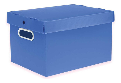 Caixa Organizadora Prontobox Azul 310x230x190 Pq