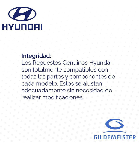 Moldura Cubierta Frontal Delantero Hyundai Tucson 2015 2018