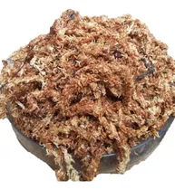 Comprar Musgo Sphagnum Hebras 5 Lt Orquideas Carnivoras Paisajismo