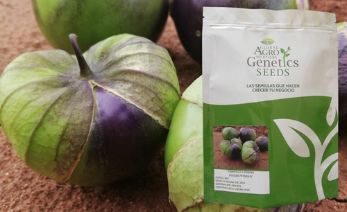 Semilla Tomatillo Cascara Morada Catarina 200,000 Semillas