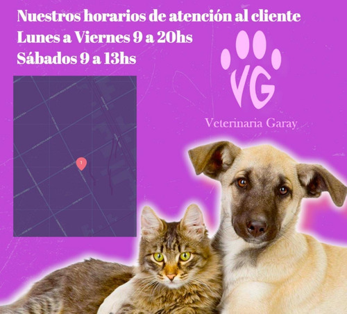 Imagen 6 de 8 de Mochila Para Mascotas