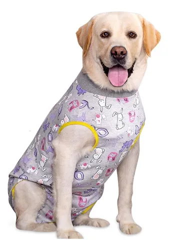 comprar Ropa Recuperación Perros, Ropa Transpirable De Recuperación