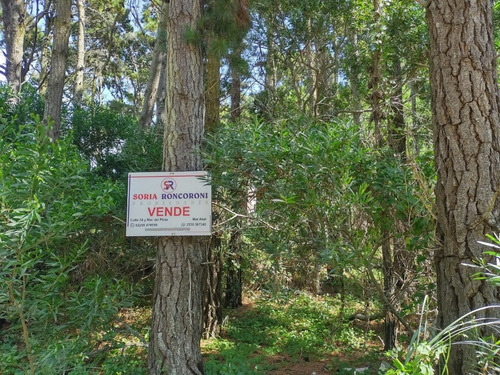 Imagen 1 de 2 de Lote Alto Bien Forestado, En El Bosque De Mar Azul.