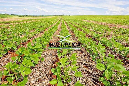 Imagem 1 de 2 de Fazenda Uberlândia, 271 Hectares, R$ 29.520,00 Por Hectare, Dupla Aptidão - 380