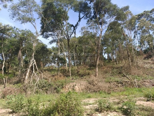 Imagem 11 de 15 de Vendo Lote 5.000 M² - Mairiporã- Cond.monjolinho - Lote A Venda No Bairro Jardim Sinki - Franco Da Rocha, Sp - Sc01715