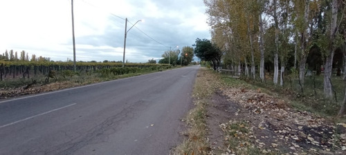 Imagen 4 de 10 de Terreno Ideal Para Fraccionamiento